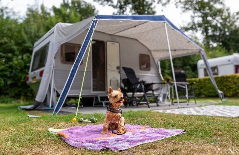 Comfort camping pitch