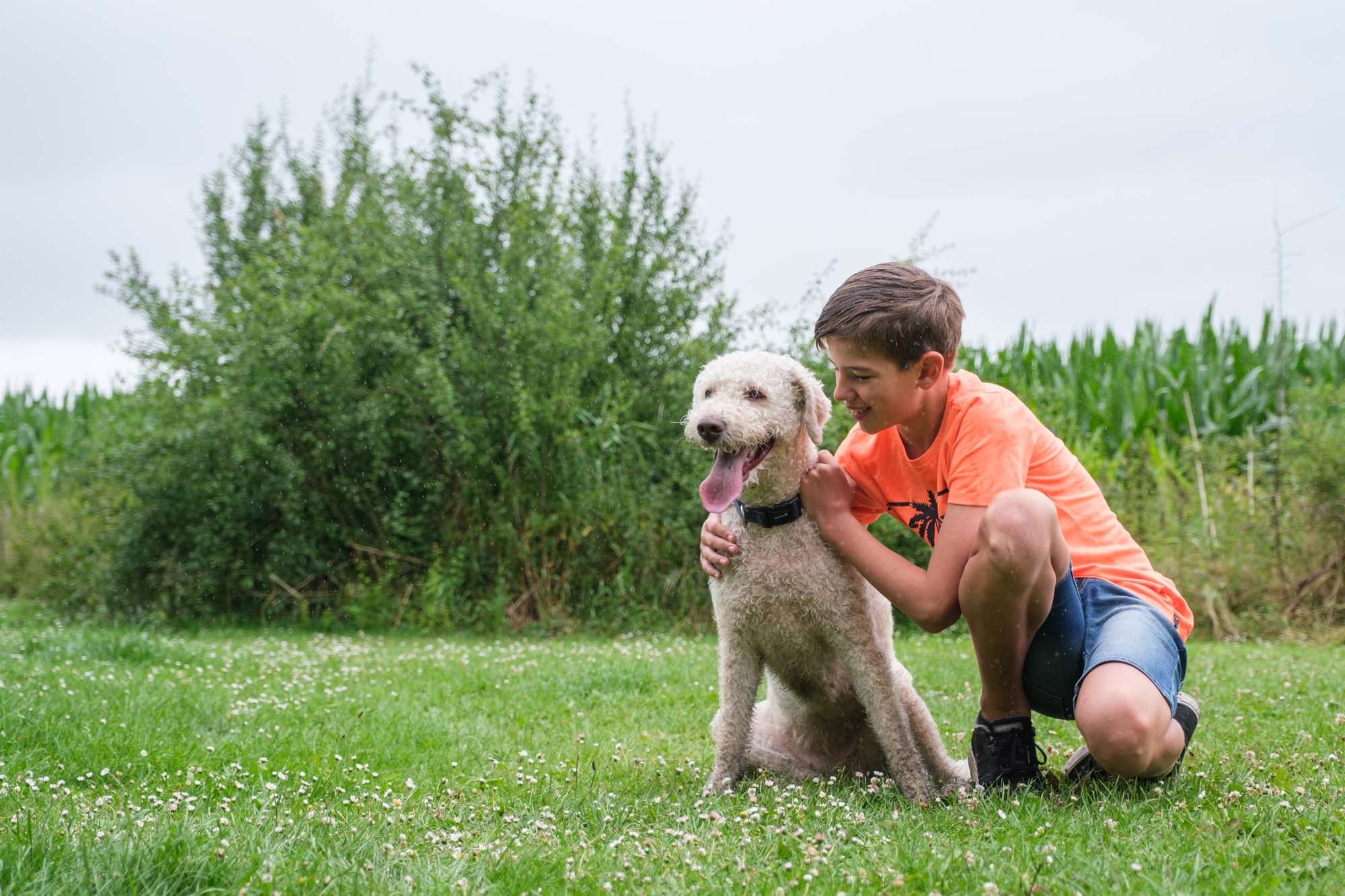 Kamperen met hond