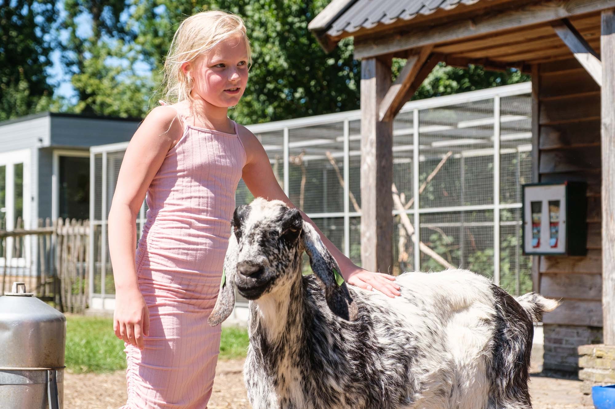 Kinderboerderij 4