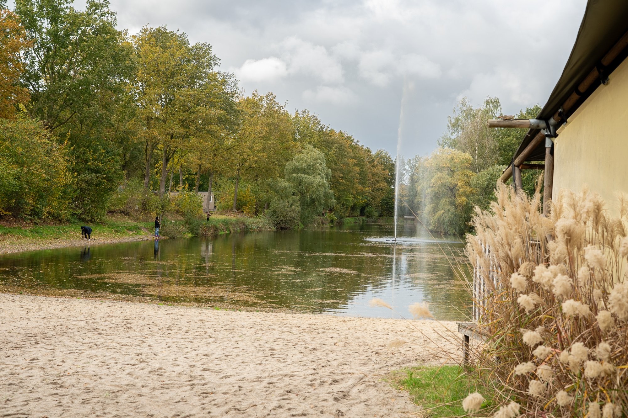 Visvijver herfst